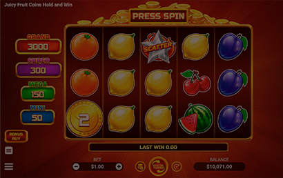 Juicy Fruit Coins Hold and Win screen